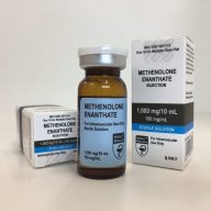 Methenolone - Primobolan