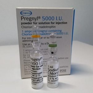 Pregnyl 5000